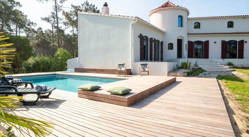 Photo of Vibrant Dreams