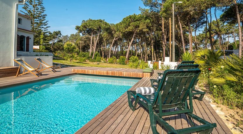 Photo of Vibrant Dreams