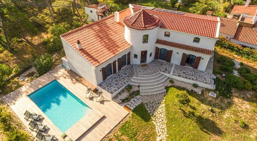 Photo of Vibrant Dreams