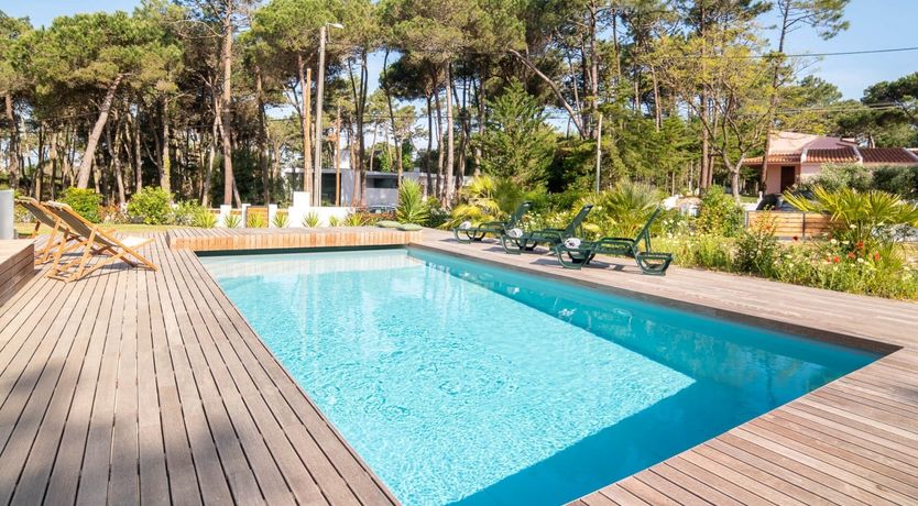 Photo of Vibrant Dreams