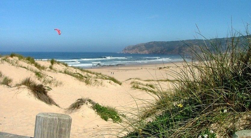 Photo of Vibrant Dreams