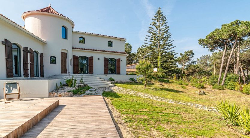 Photo of Vibrant Dreams