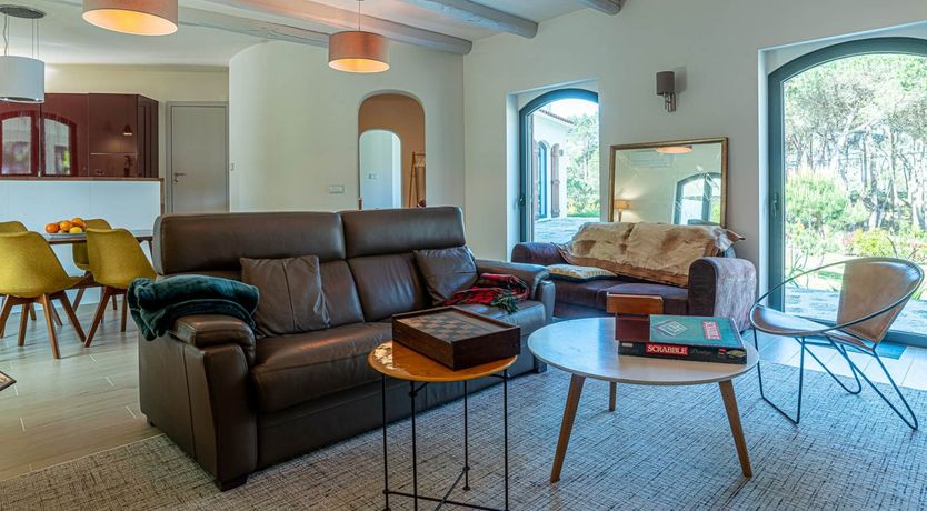 Photo of Vibrant Dreams