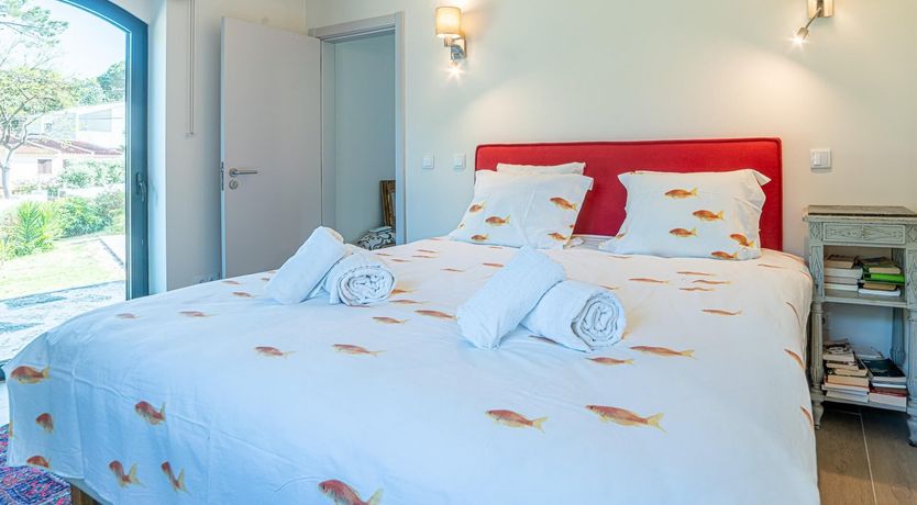 Photo of Vibrant Dreams