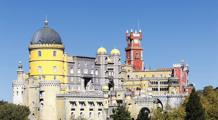 Photo of Vibrant Dreams