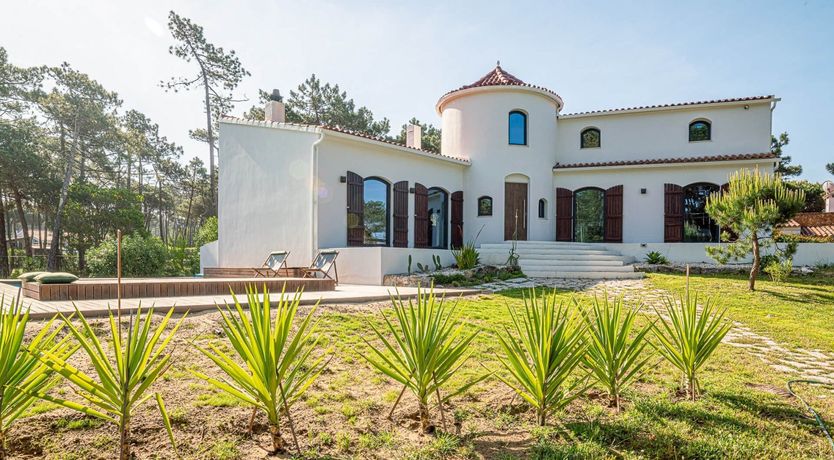 Photo of Vibrant Dreams