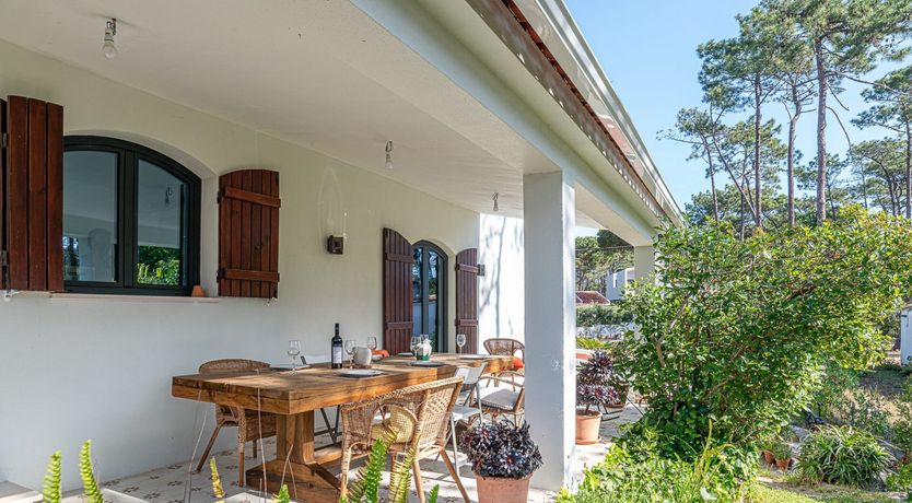 Photo of Vibrant Dreams