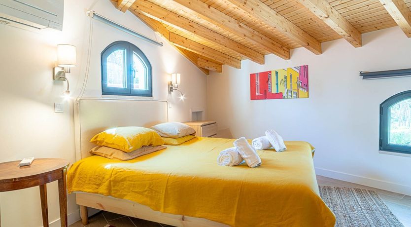 Photo of Vibrant Dreams