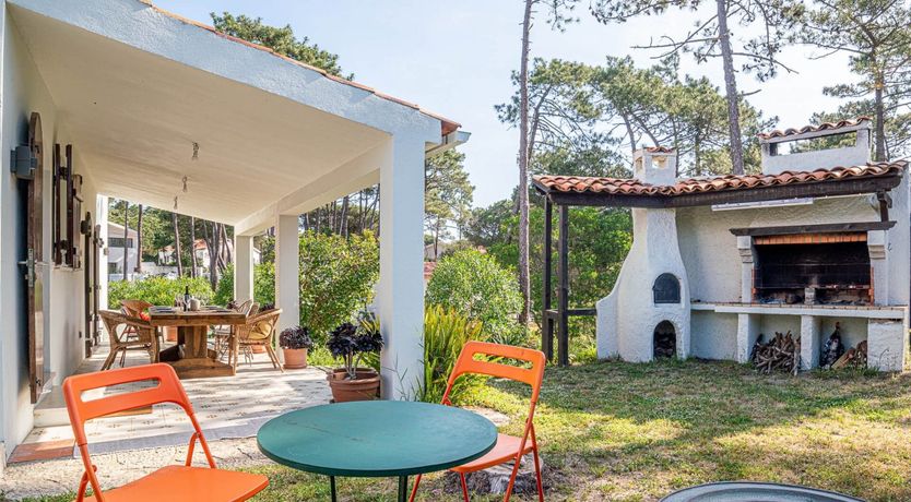 Photo of Vibrant Dreams