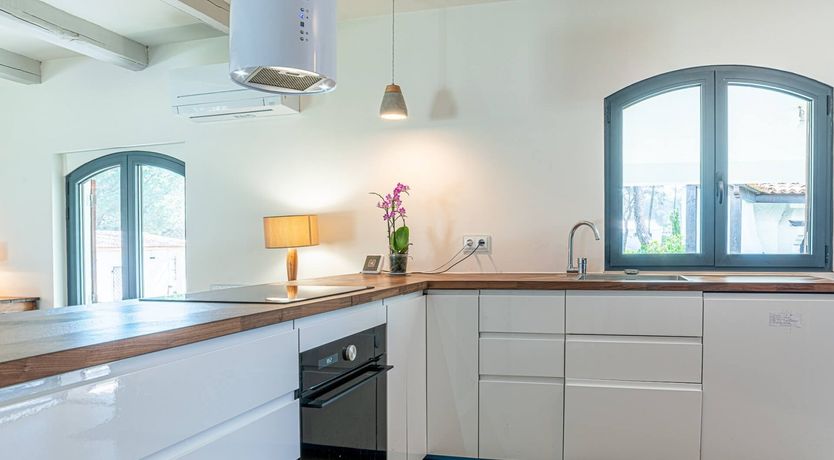 Photo of Vibrant Dreams