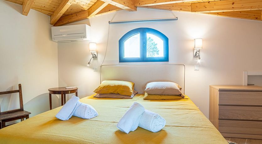 Photo of Vibrant Dreams