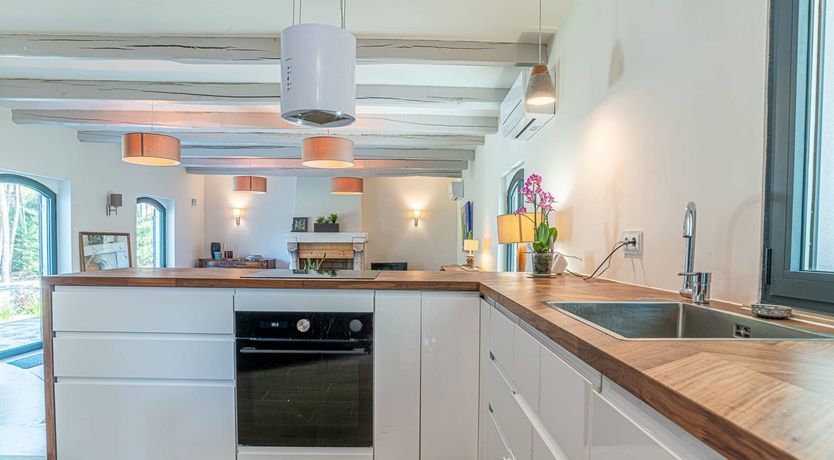 Photo of Vibrant Dreams