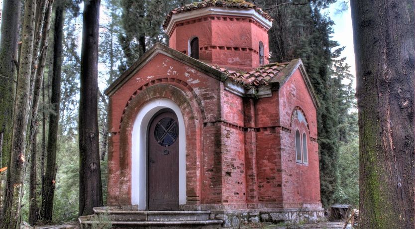 Photo of A Slice of Paradise