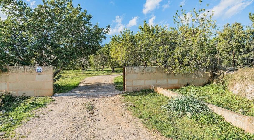 Photo of The Sun's Rays