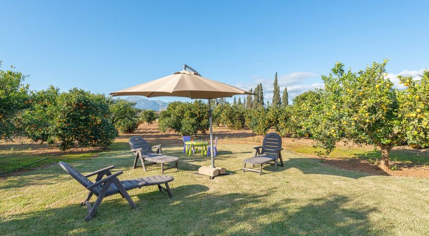 Photo of Ode To The Sun