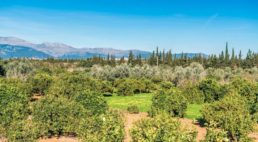 Photo of Ode To The Sun