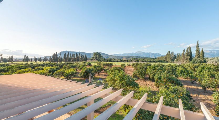 Photo of Ode To The Sun