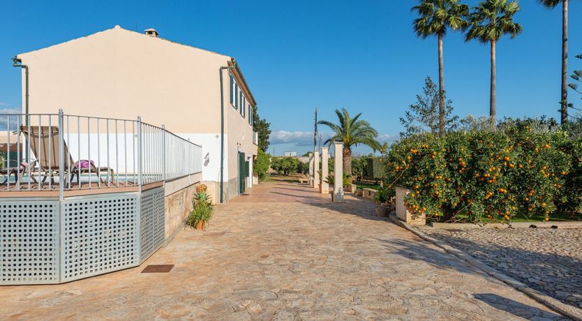 Photo of Ode To The Sun