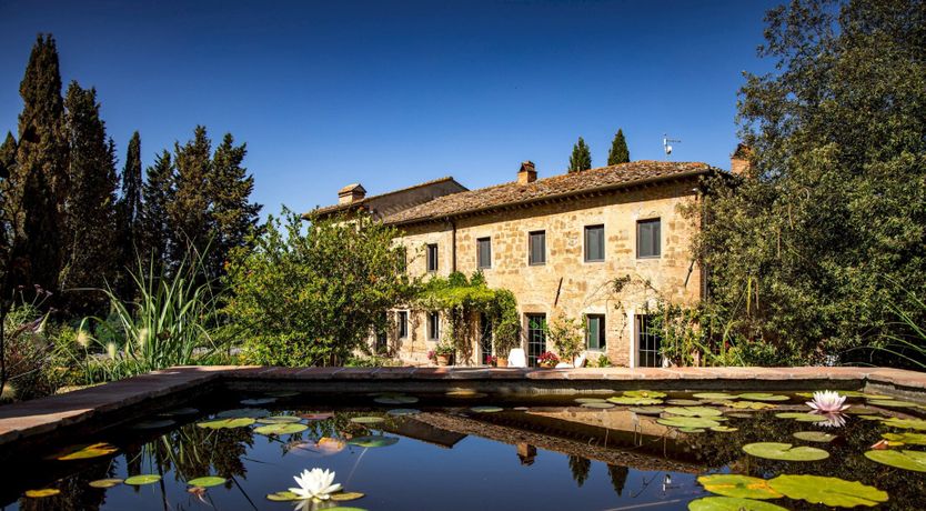 Photo of The Palaia Oasis