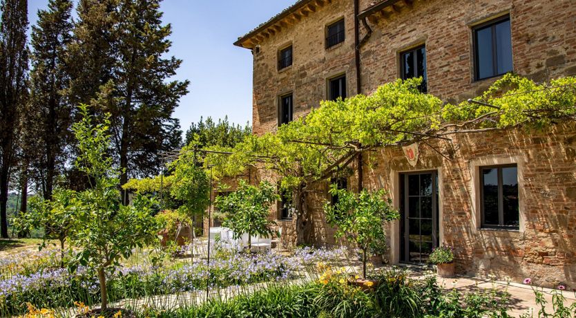 Photo of The Palaia Oasis