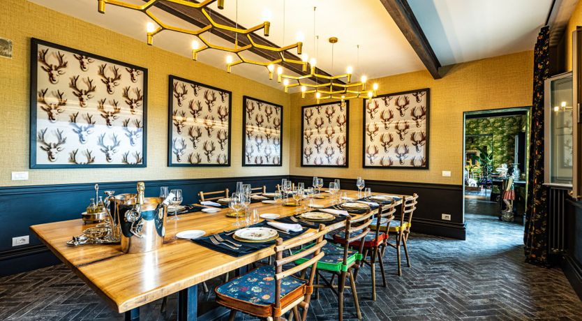 Photo of The Palaia Oasis