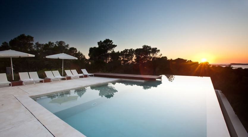 Photo of Rhubarb & Sunset