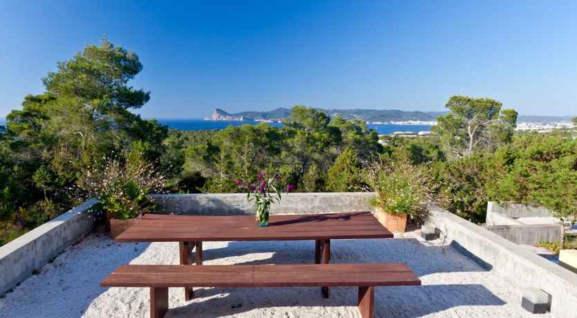 Photo of Rhubarb & Sunset