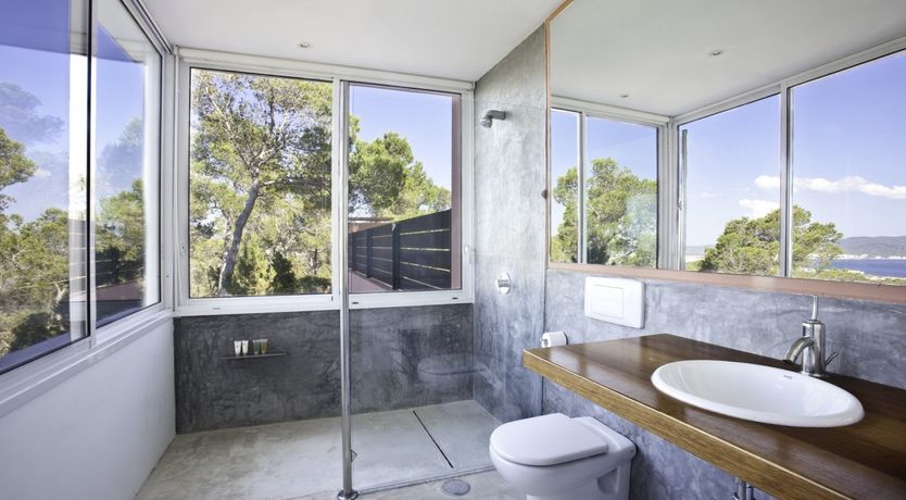 Photo of Rhubarb & Sunset