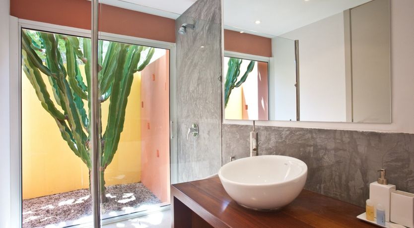 Photo of Rhubarb & Sunset