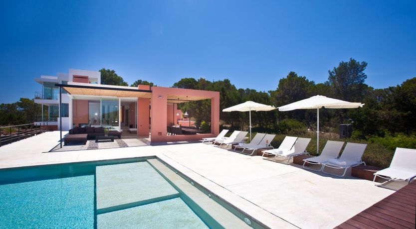 Photo of Rhubarb & Sunset