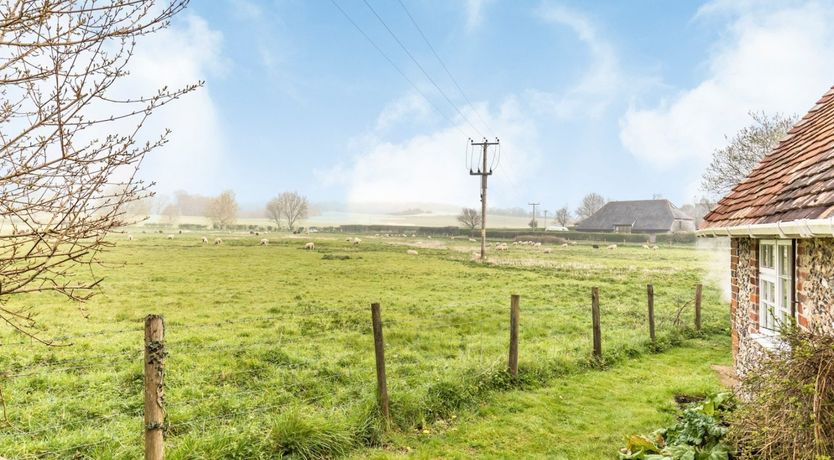 Photo of Peaceful Journey