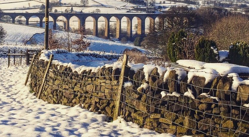Photo of Blackberry Cobbler