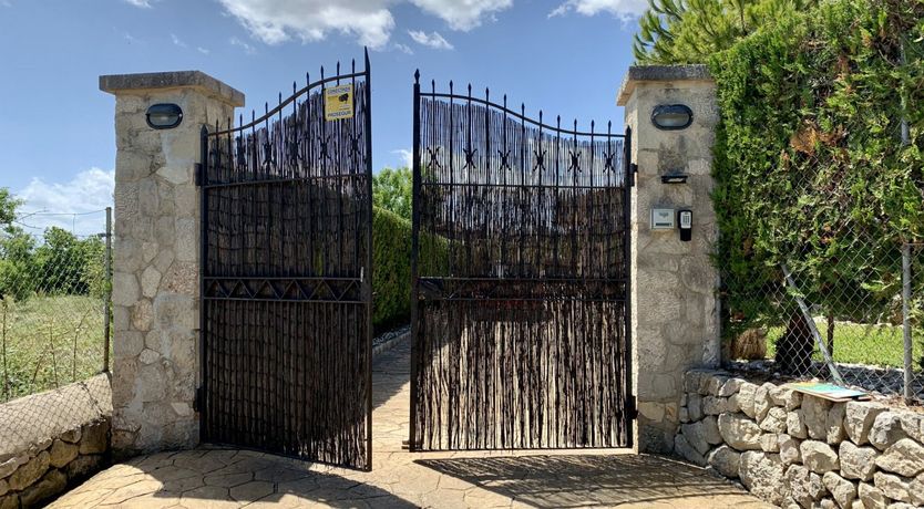 Photo of The Spritzer