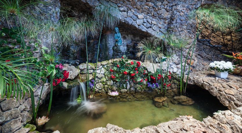 Photo of Ibizan Breeze