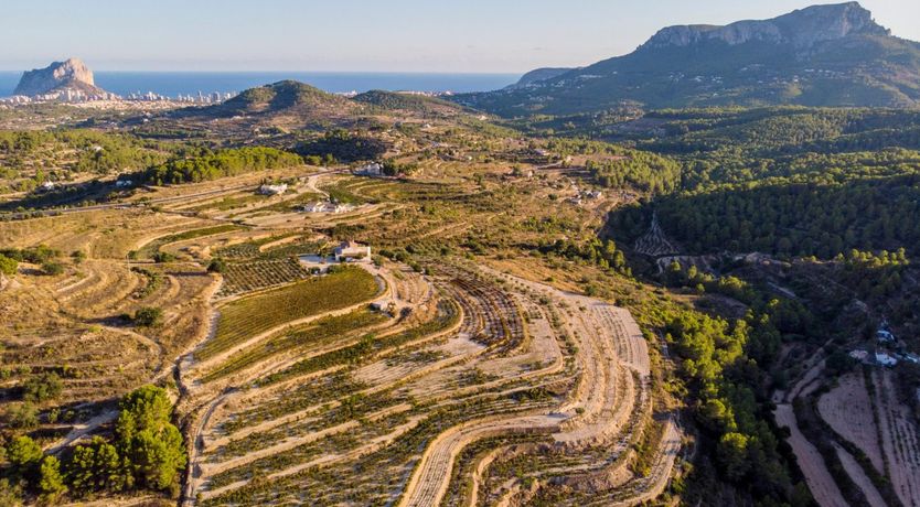 Photo of Sunburst Sunrise