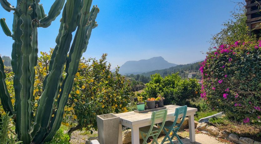 Photo of Sunburst Sunrise