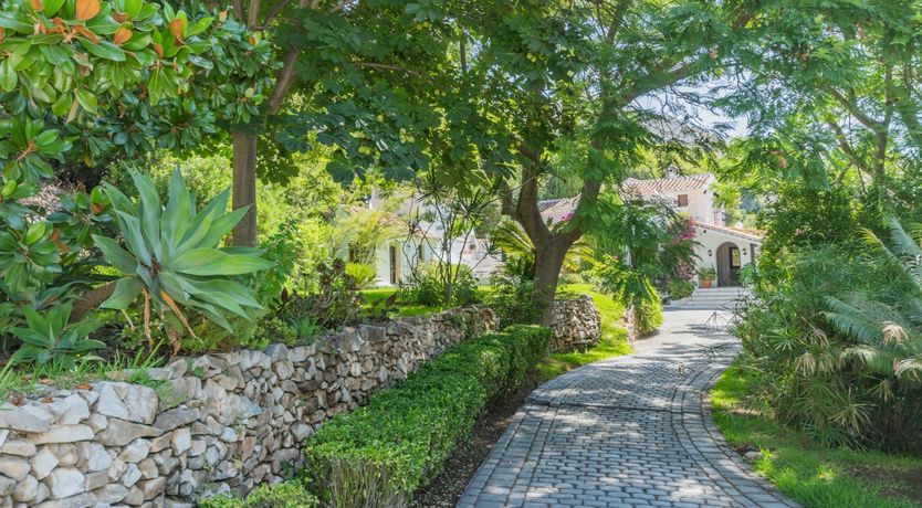 Photo of Brimming with Wild Blooms