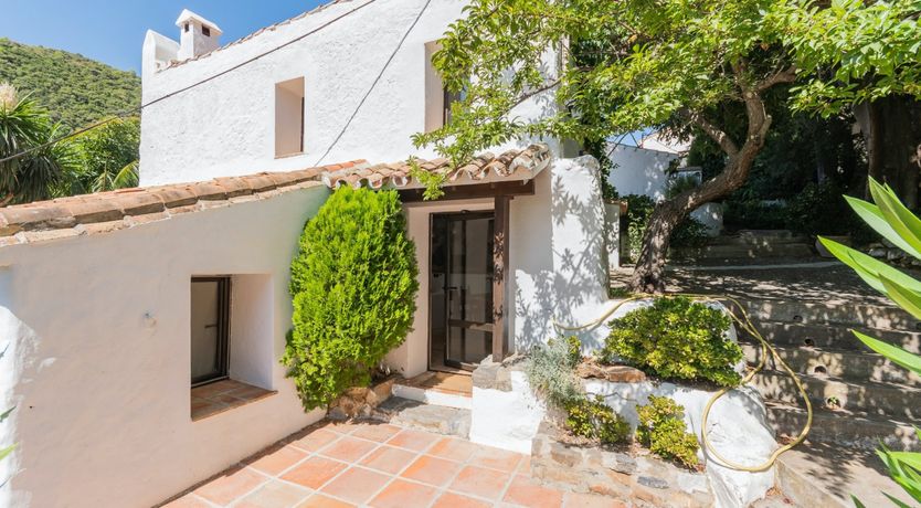 Photo of Brimming with Wild Blooms