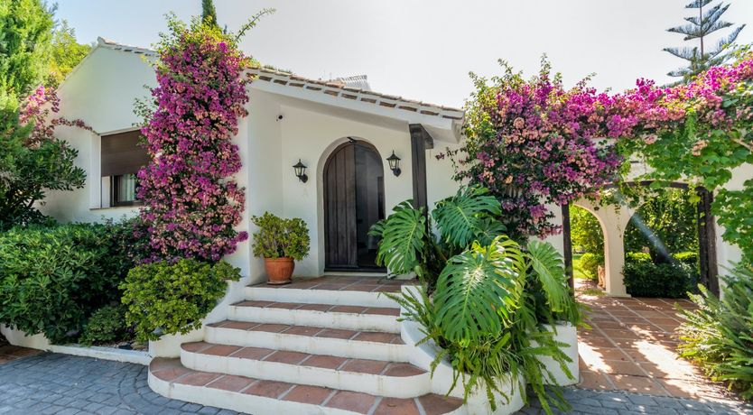 Photo of Brimming with Wild Blooms