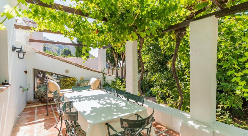 Photo of Brimming with Wild Blooms