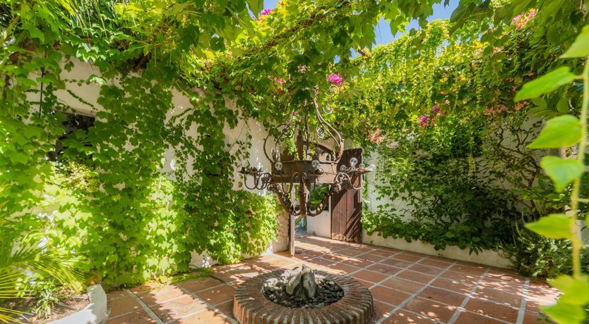 Photo of Brimming with Wild Blooms