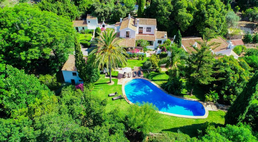 Photo of Brimming with Wild Blooms