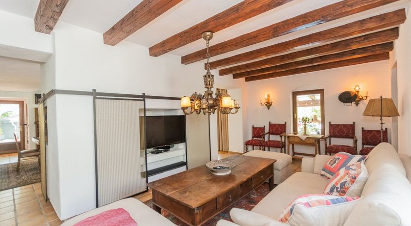 Photo of Brimming with Wild Blooms