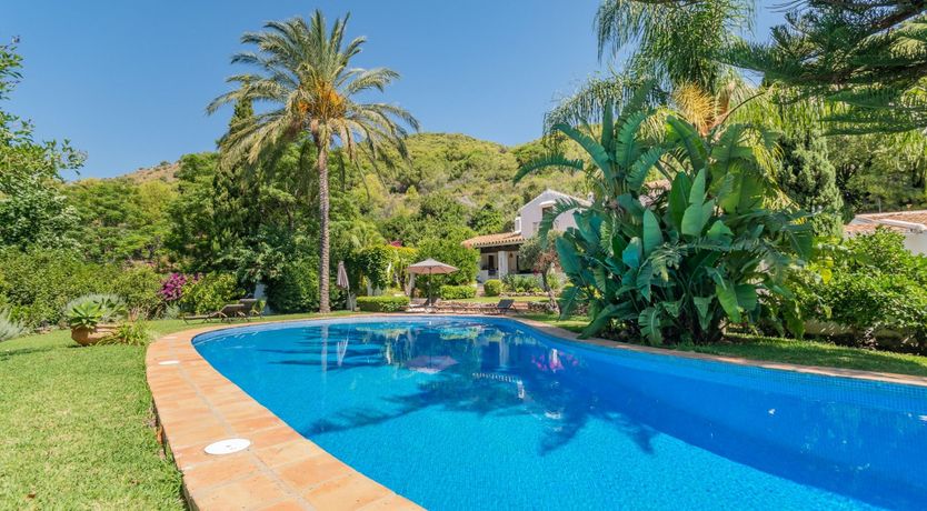 Photo of Brimming with Wild Blooms