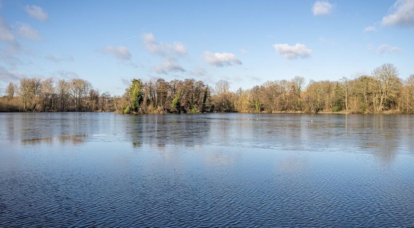 Photo of Circle Back