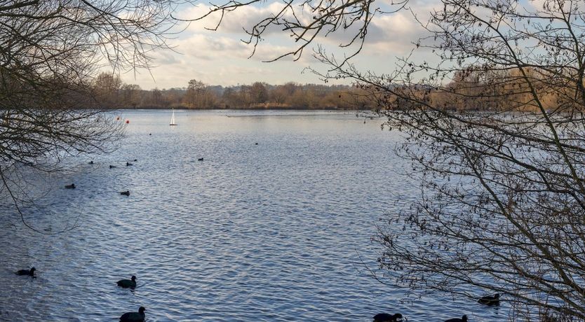 Photo of Circle Back