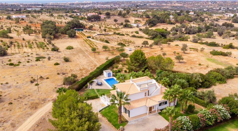 Photo of The White & The Blue