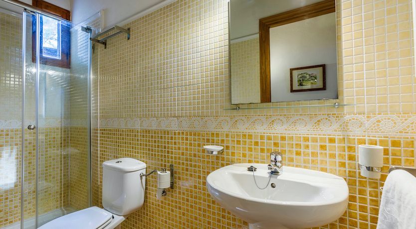 Photo of The Golden Shimmer