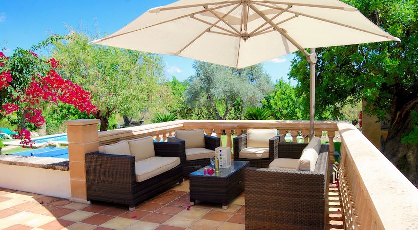 Photo of The Golden Shimmer