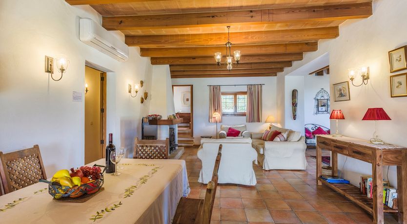 Photo of The Golden Shimmer